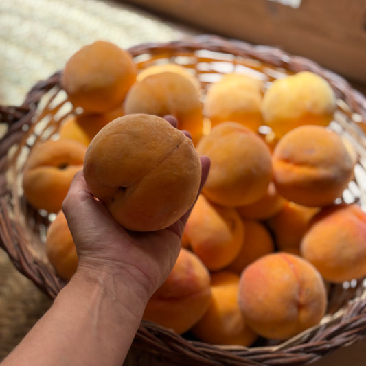 Mermelada casera de Melocotón