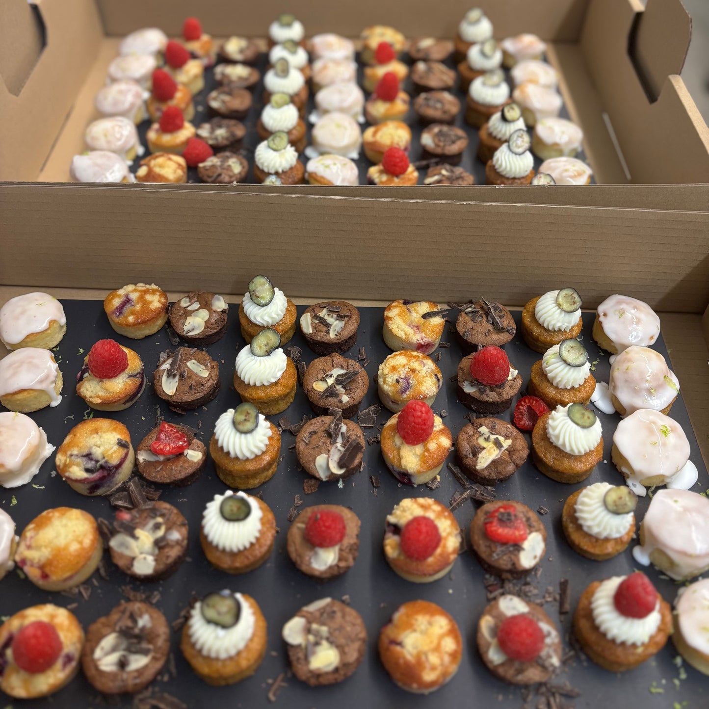 Bandeja Minis 54 unidades