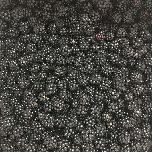 Mermelada casera de Moras Silvestres