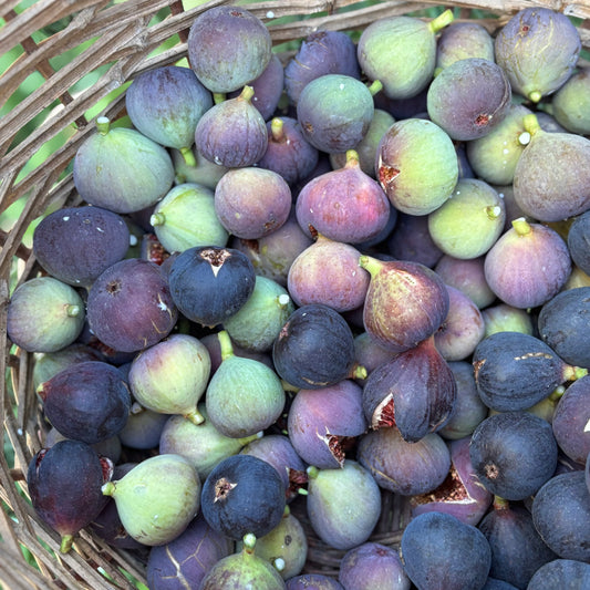 Mermelada casera de Higos