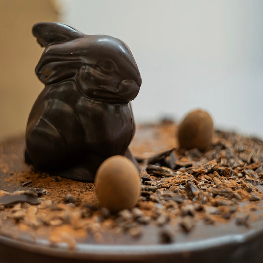 Conejo choco negro