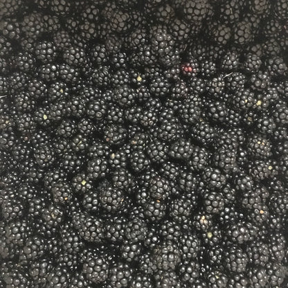 Mermelada casera de Moras Silvestres